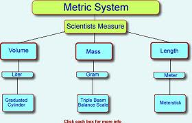Scientific Measurement Of Length Mass Volume Temperature Free Homework Help