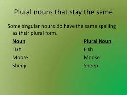English Review Of Plurals Free Homework Help