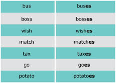 English Review Of Plurals Free Homework Help
