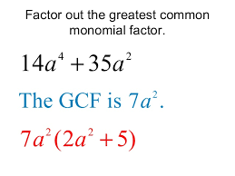 Math Review Of Common Factors Of Polynomials Free Homework Help